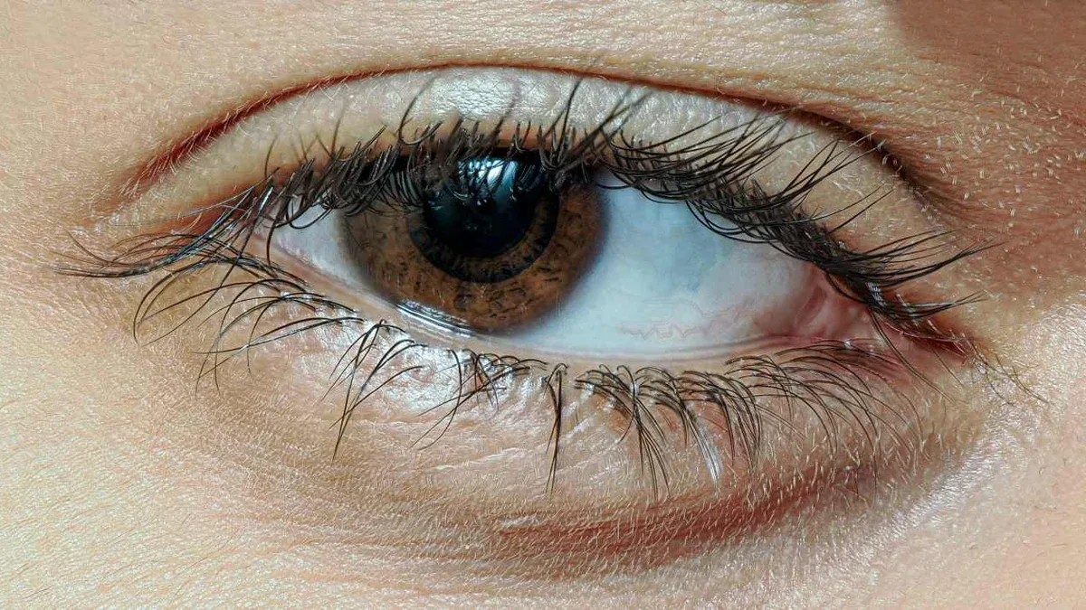 Film lacrimale: quali funzioni svolge sulla superficie dell’occhio