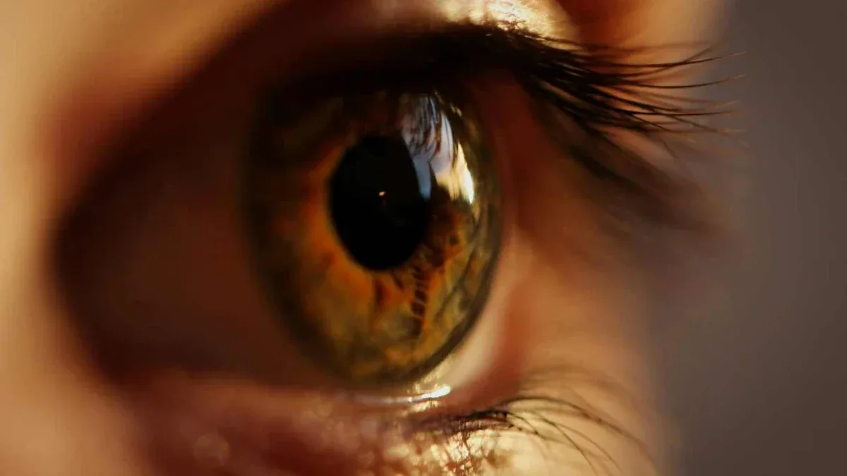 Dalla luce al segnale nervoso: che cosa fanno i fotorecettori della retina?
