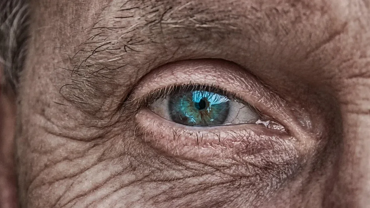 Muscoli extraoculari: come contribuiscono a orientare lo sguardo?